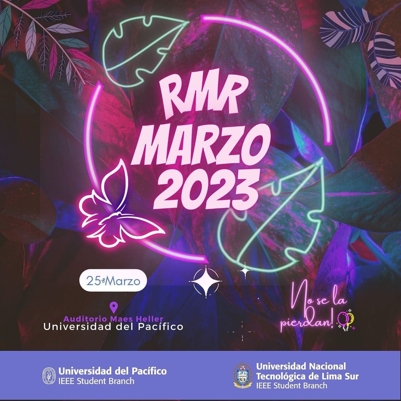 Reunión Mensual de Ramas - Marzo 2023 (con UNTELS) - fotografía del evento