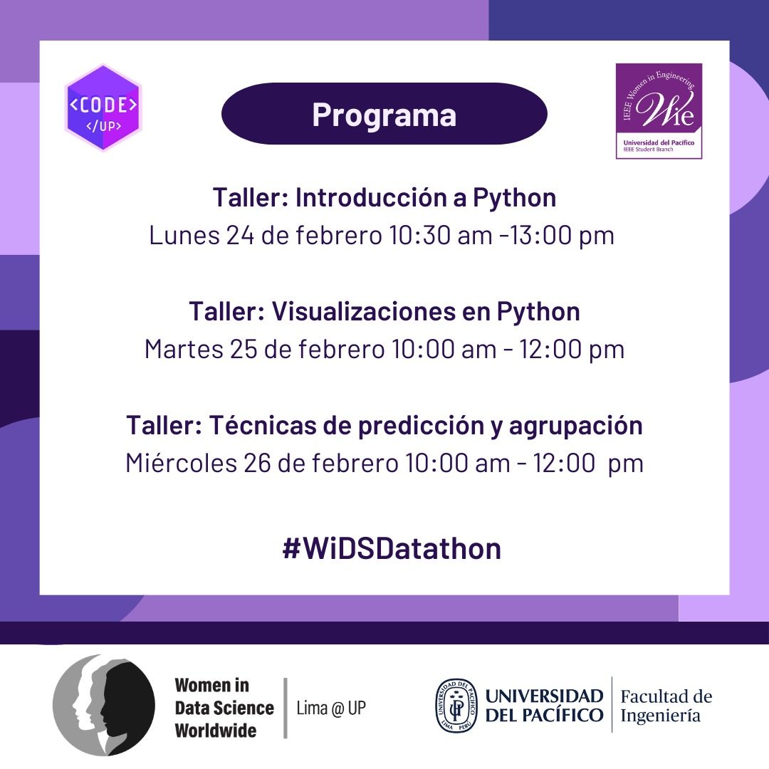 Talleres de preparación para el WiDS Datathon 2025 - fotografía del evento